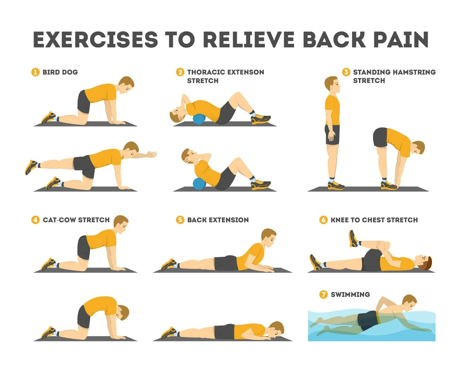 Illustrated chart of exercises to relieve back pain