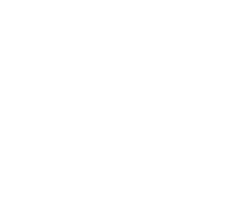 Bear Chiropractic logo
